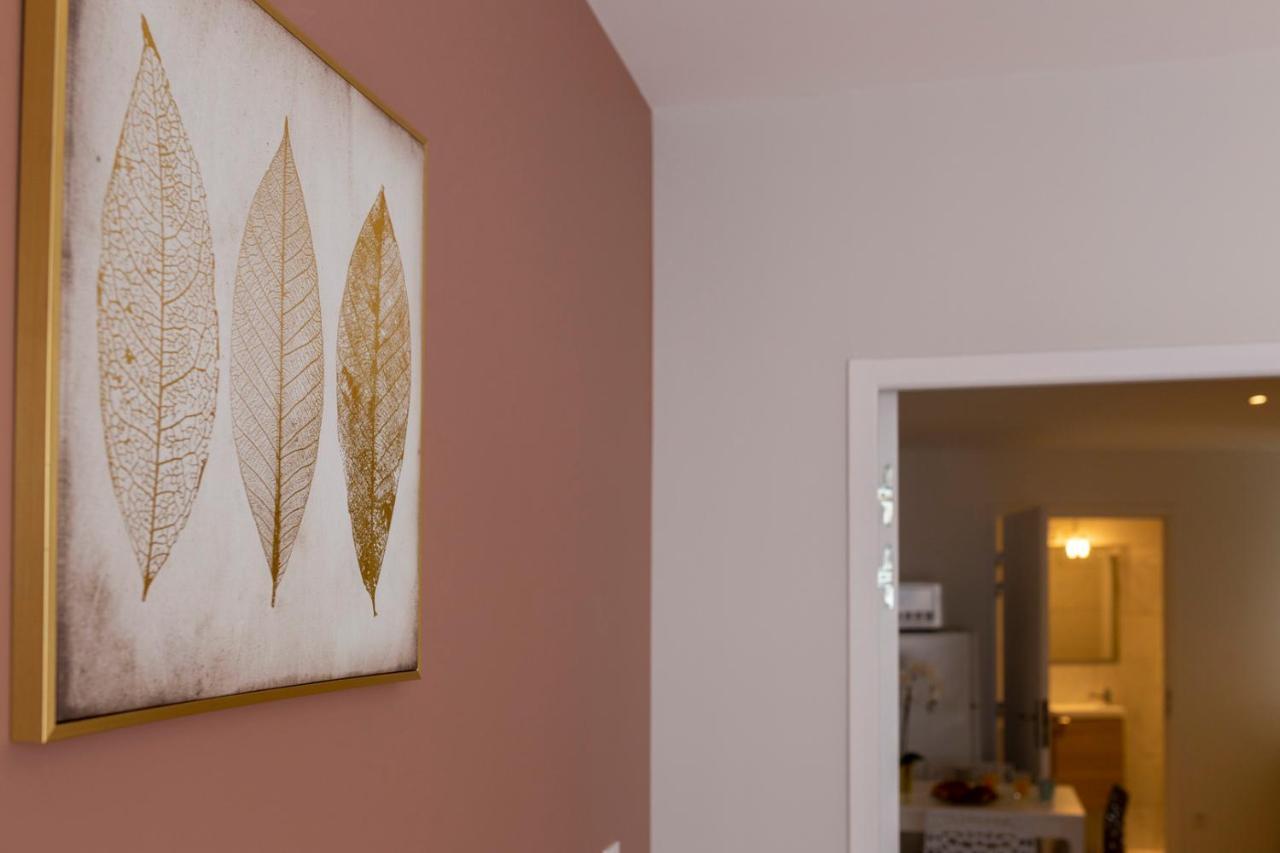 Loc Trotteur Le Fleur Des Champs F2 Cosy, Gare Sncf De Apartment